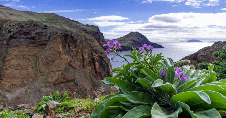 hawaii øy
