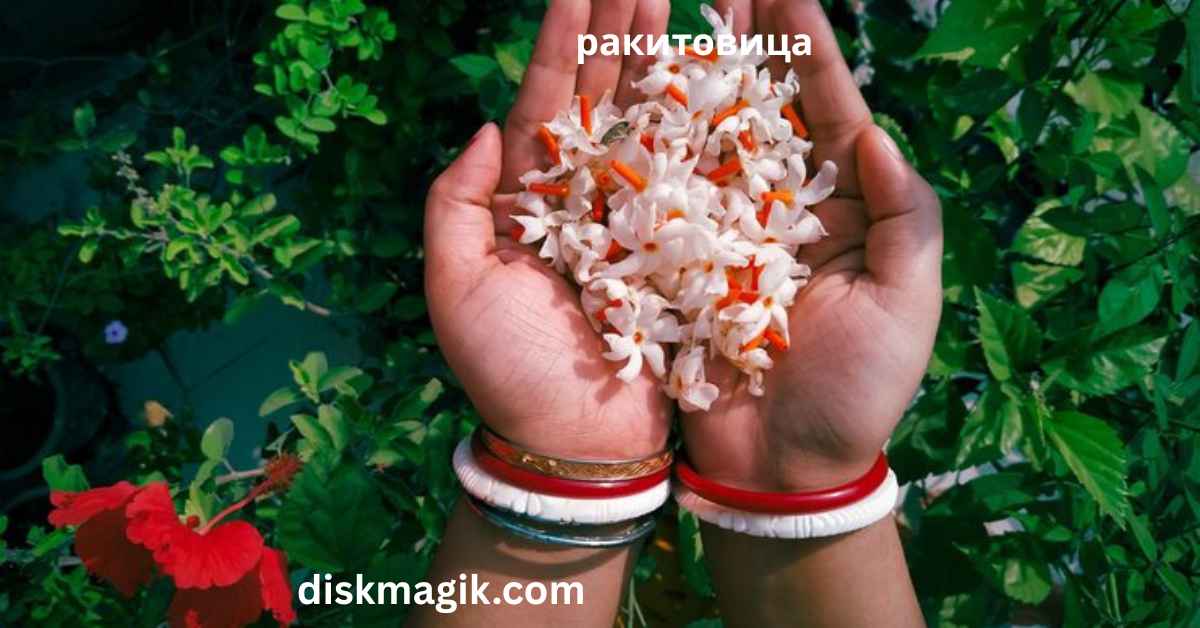 ракитовица