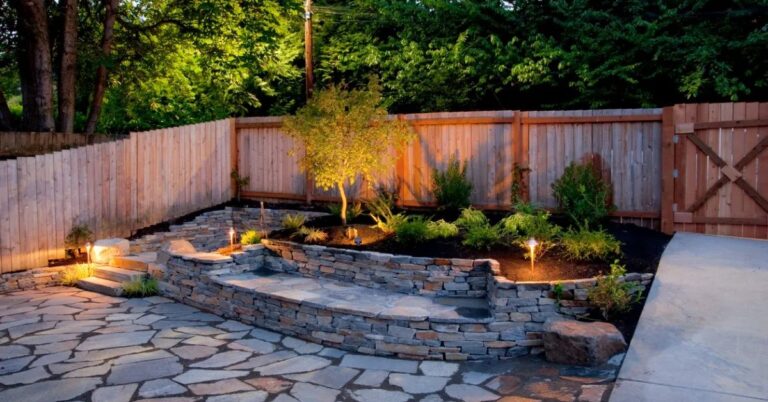 Your Backyard